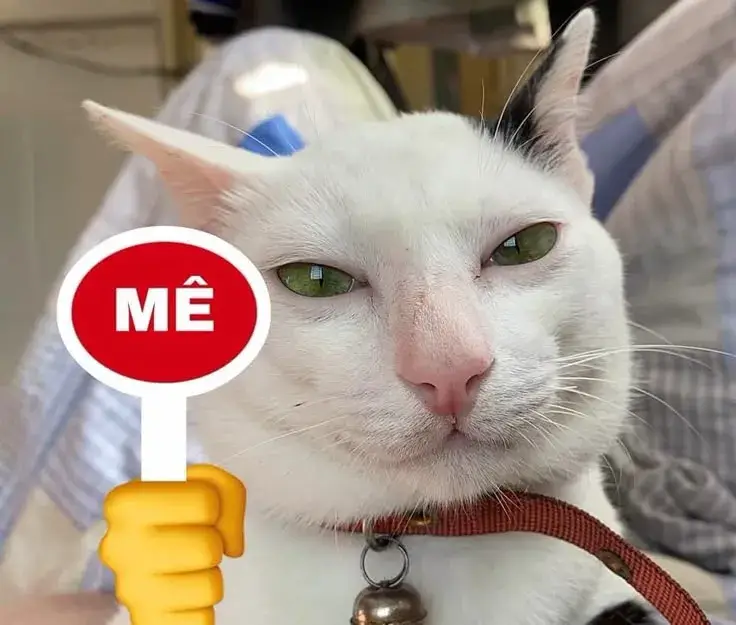 Hình vui phản ứng xuất sắc “chuẩn không cần chỉnh”