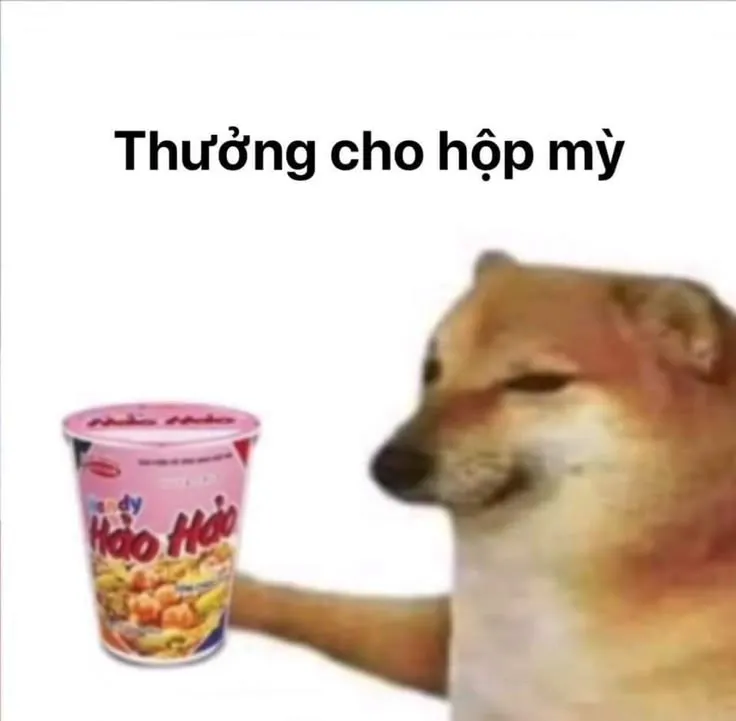 Hình troll chó đáng yêu biểu cảm dễ thương quá trời