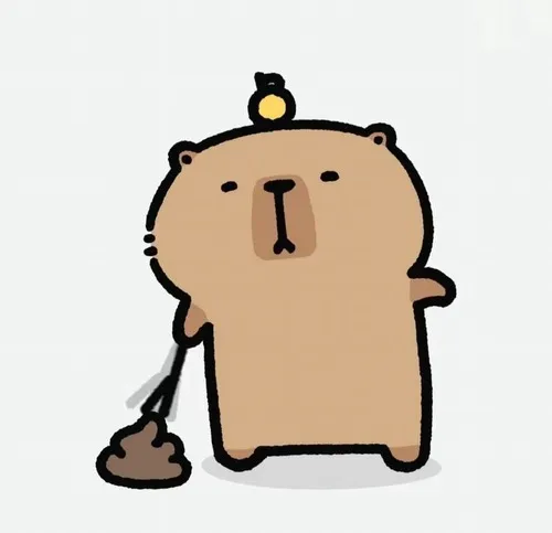 Ảnh avatar mèo bo tròn lửng mật đáng yêu phối màu kẹo ngọt