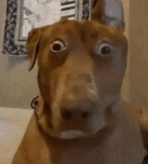 Meme chế cảnh “ơ kìa” lan khắp Facebook lẫn Zalo.