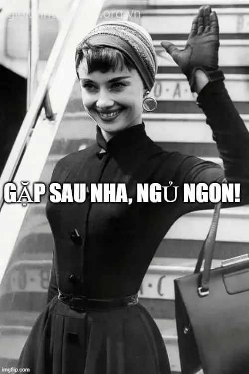 Meme hài tạm biệt buổi chiều đầy nắng, kỷ niệm vẫn còn đó.