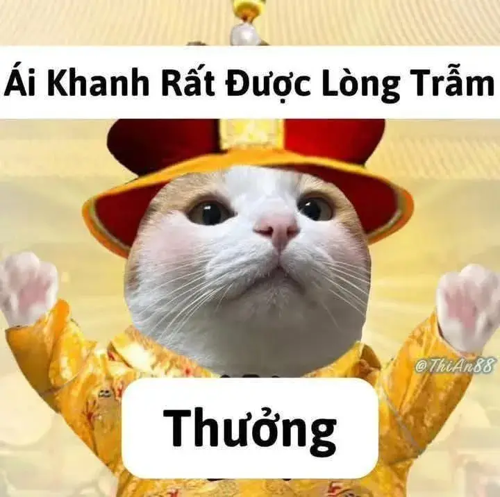 Hoàng thượng ban ánh mắt lạnh lùng