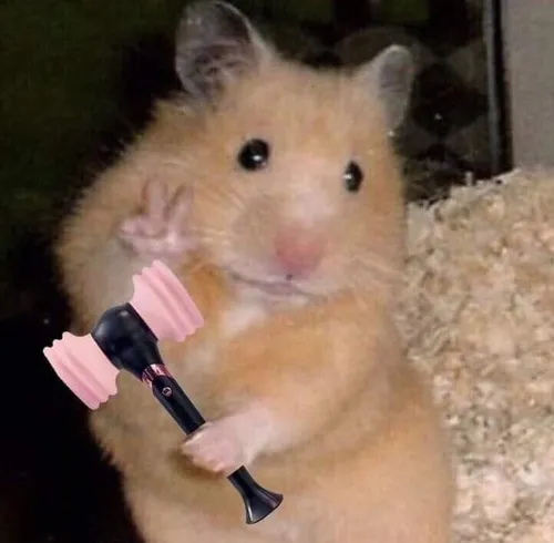 Meme chế chuột nhe răng trong biểu cảm phản ứng kép