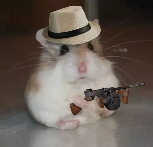 Hình chế meme vui chuột hamster hờn dỗi chu mỏ đáng yêu