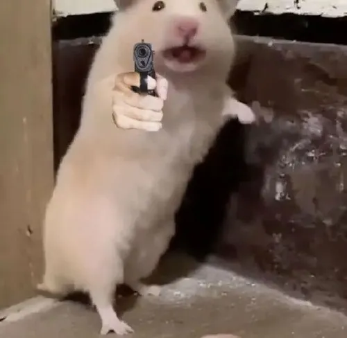 Ảnh chế chuột hamster sợ hãi nép sát thành lồng