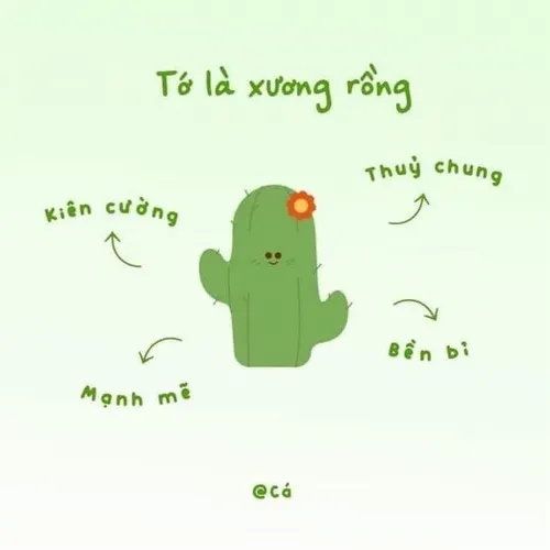 Meme cố lên lan truyền cảm hứng tích cực mỗi sáng giữa guồng quay công việc