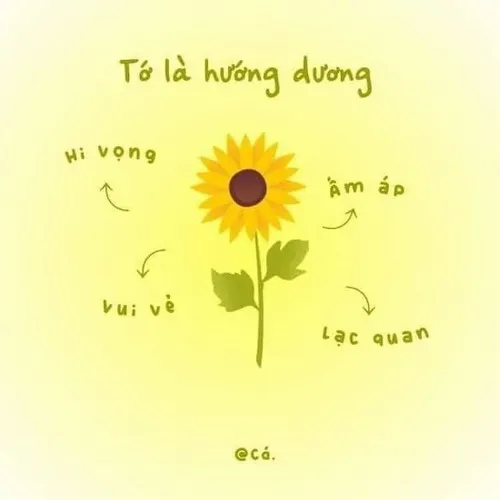 Bộ meme cổ vũ tinh thần vượt khó khiến ai xem cũng thấy ấm lòng