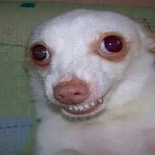 Khi “ổn mà” chỉ là lời nói dối đáng yêu nhất mạng