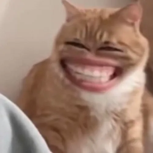 Meme vui tấu hài nhẹ nhàng khiến người xem thư giãn