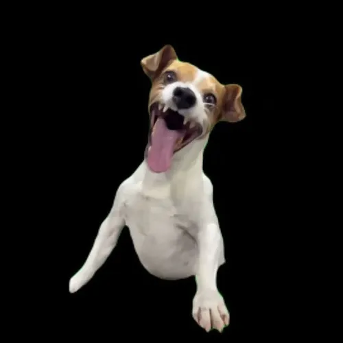 Ảnh troll vui lan khắp fanpage chế ảnh Việt Nam