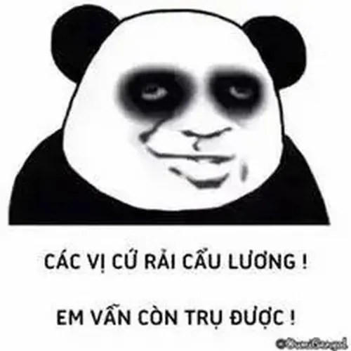 Ảnh vui thâm quầng thể hiện dáng ngồi thẫn thờ trong góc rừng tre lạnh.