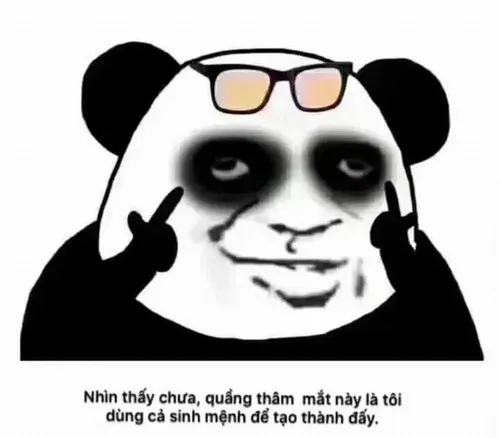 Meme gấu trúc mắt thâm nổi bật với lông mắt sẫm màu và vẻ mặt uể oải.