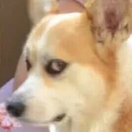 Meme vui biểu cảm lạnh nhưng cực hợp câu chuyện tình huống