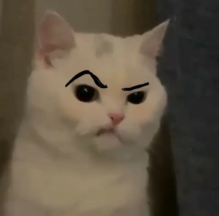 50+ ảnh Meme Ánh Mắt Phán Xét với cái nhíu lông mày khiến đối phương lạnh gáy