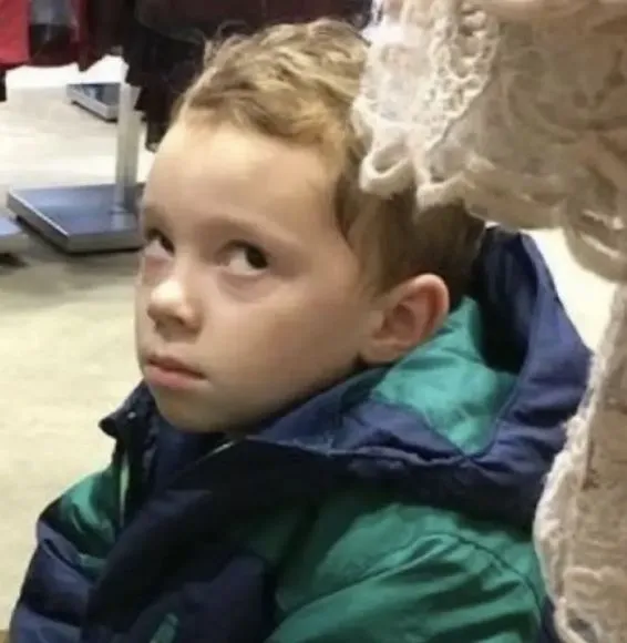 Hình chế ánh mắt phán xét của thú cưng nhìn chủ cực buồn cười