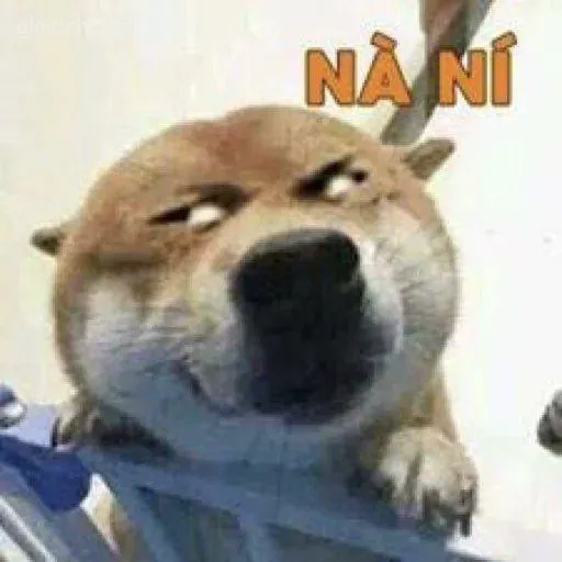 Meme hài ánh nhìn “tỉnh queo” của đồng nghiệp khi bạn nói nhảm