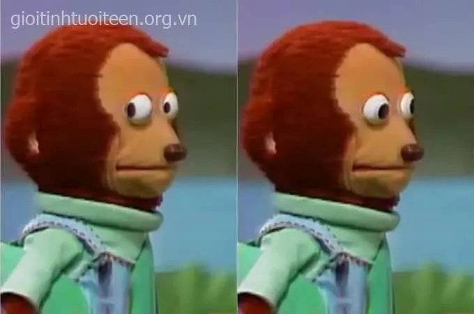 Hình chế ánh mắt hoang mang của mèo cực đáng yêu