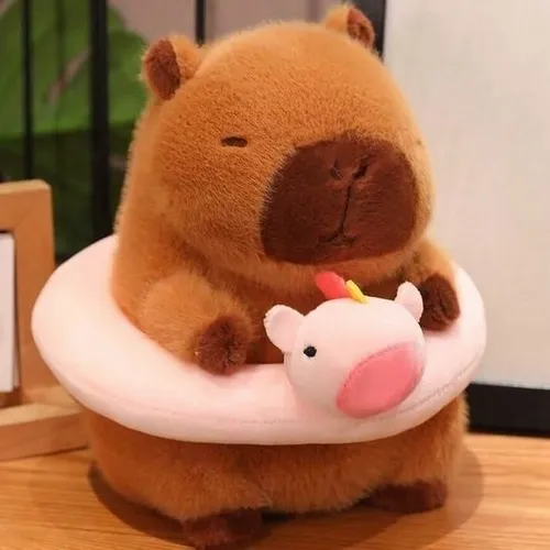 Hình vui capybara trừng mắt nhẹ như tức giận.