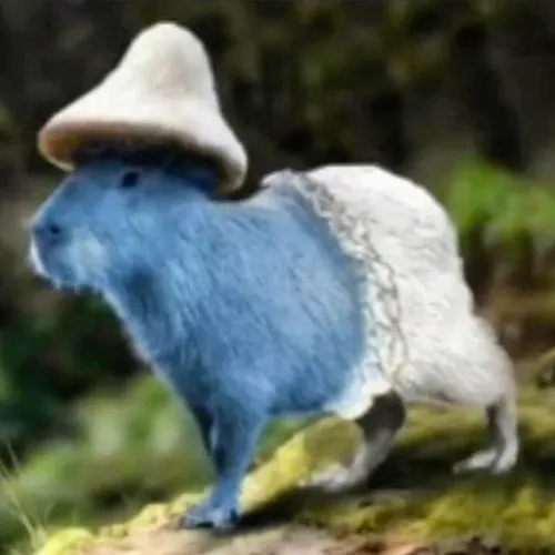 Ảnh hài capybara đứng bên bờ cỏ hơi tủi thân.