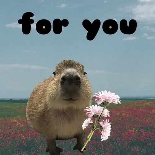 Ảnh chế capybara rụt cổ sợ hãi kinh sợ.