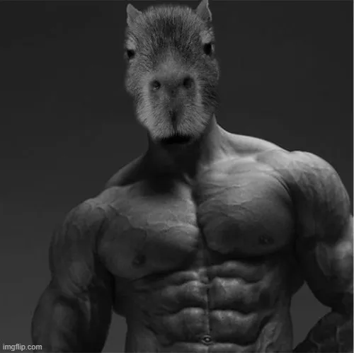 Chuột lang nước chill vibe cho nhóm chat hay cà khịa hiền