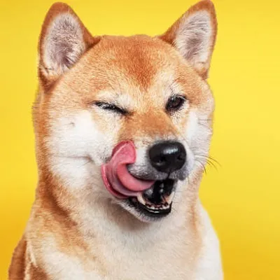 Meme hài boss nhỏ gãi đầu kiểu “ơ tui làm gì sai”