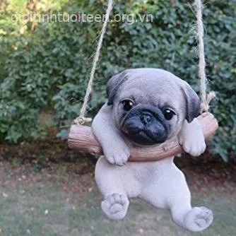 Meme hài chó con ngủ say cười tươi trong mơ cực đáng yêu