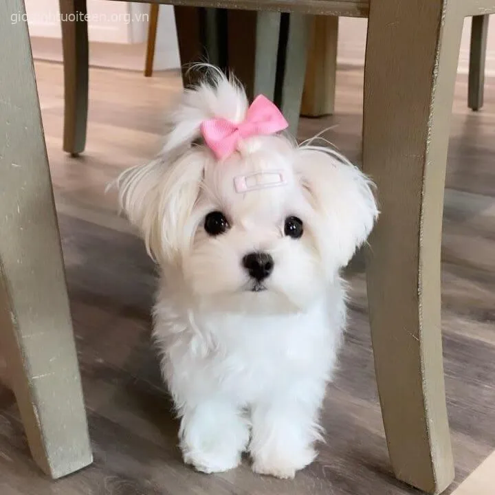 Meme chế boss con nhìn lên trời kiểu “hôm nay đẹp ghê”