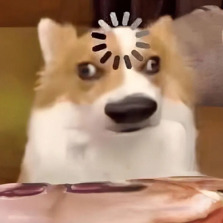 Khoảnh khắc chó selfie biểu cảm hỏi chấm khiến ai cũng cười