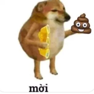 Meme chó hài hước bá đạo khuấy đảo mạng xã hội mùa này