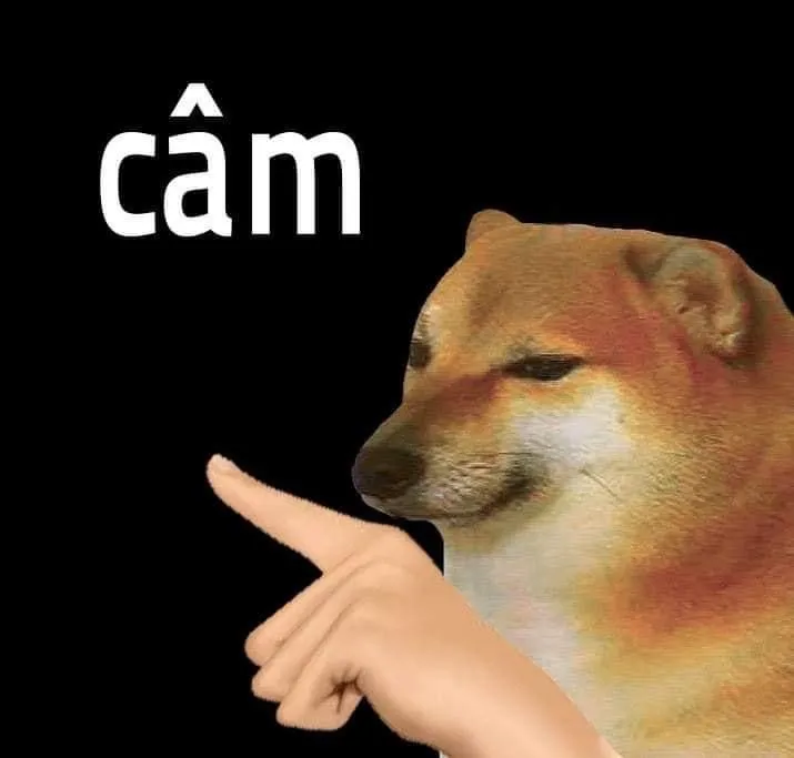 Meme hài chó ngáp dài như kiểu “chán đời ghê á”