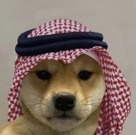 Hình chó hài bựa, biểu cảm dễ thương khó cưỡng.