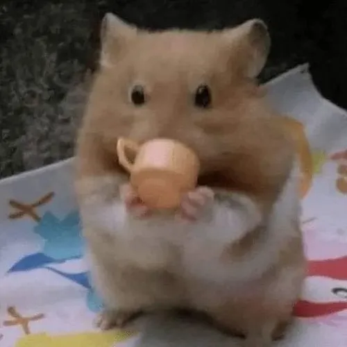 Ảnh meme vui chuột hamster thất vọng cúi đầu thật đáng thương