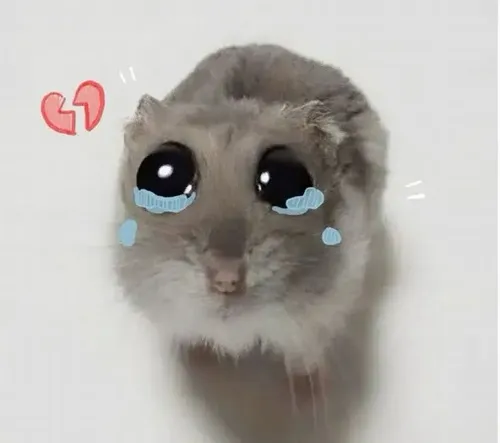 Khoảnh khắc chuột rơi lệ nhìn phô mai rơi xuống đất