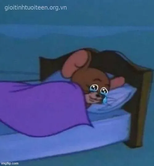 Chuột rớt lệ vì miếng bánh gãy đôi đúng vibe mỏng manh