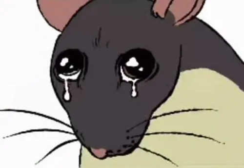 Hình chuột khóc thút thít mang vibe buồn mà vẫn mắc cười