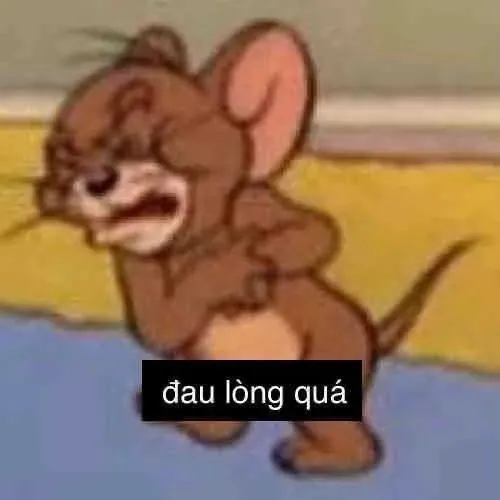 Ảnh vui ti hí buồn nép sau hộp giấy