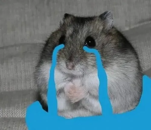 47 ảnh Meme Chuột Khóc Lóc buồn bã diễn tả tâm trạng cô đơn tủi thân