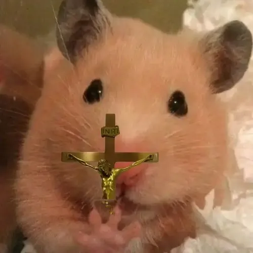 Ảnh troll nhóc rớt lệ co đuôi lại