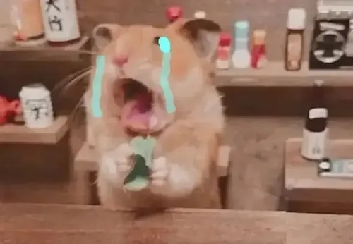 Ảnh troll nhóc rớt lệ nép vào tấm chăn