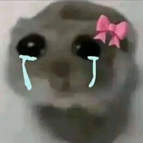 Meme chuột con rơi lệ với mắt đỏ hoe