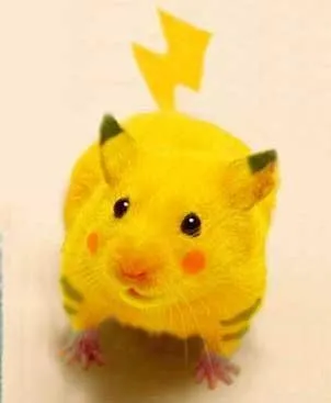 Ảnh hài Pikachu giật mình vì bị gọi tên bất ngờ