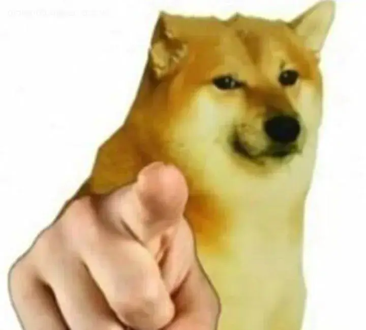 Ảnh vui chó meme dùng để cà khịa bạn thân