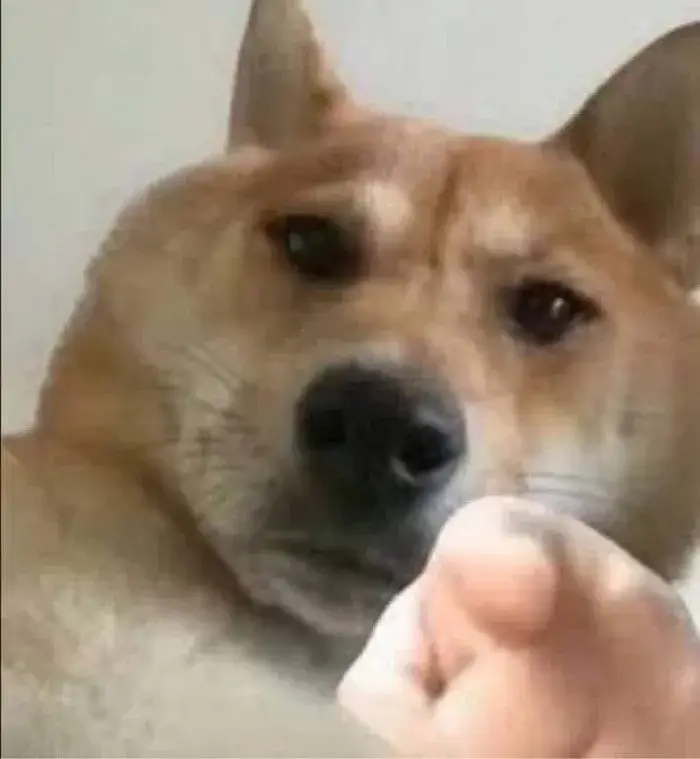 Hình chế vui chó bóc phốt bạn thân cực duyên