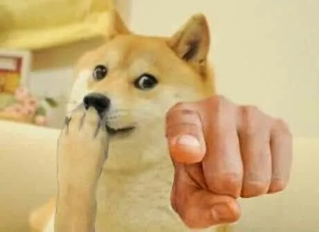 Hình chế chó chỉ trỏ “thấy hết rồi nha” lan TikTok