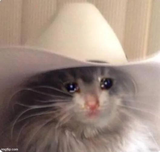 Meme hài mèo nhỏ trong góc tối cô đơn.