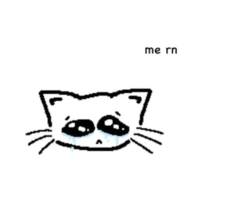 Meme chế mèo cúi mặt kể nỗi buồn.