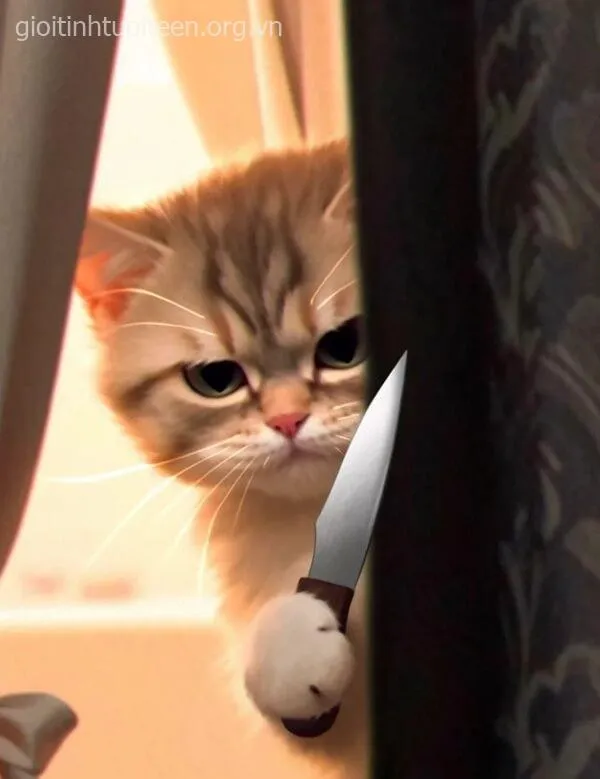 Ảnh chế mèo filter lạnh như phim hành động mini