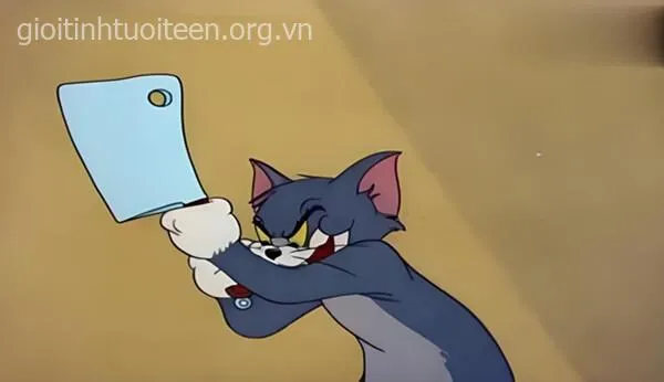 Meme hài mèo cầm dao nhỏ giữa bếp troll bạn