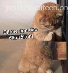 Meme mèo cầm dao: ảnh chế cực hợp vibe “đừng chọc tao”